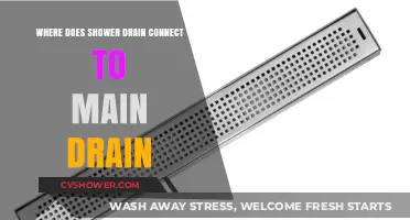Where Does Your Shower Drain Connect to the Main Drain?