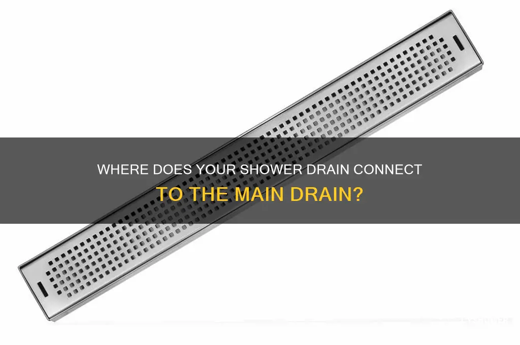 where does shower drain connect to main drain