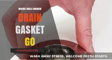 Where to Place Your Shower Drain Gasket: A Quick Guide