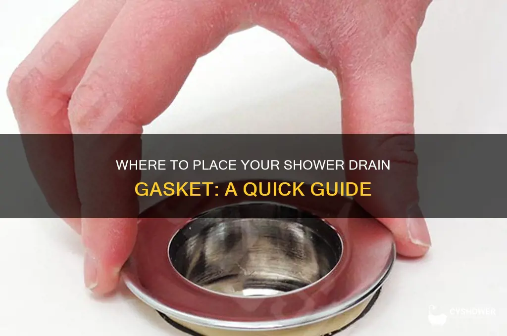 where does shower drain gasket go