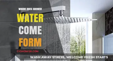 Where Does Shower Water Come From? Unveiling the Journey to Your Faucet