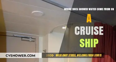 Cruise Ship Shower Secrets: Unveiling the Source of Freshwater Onboard