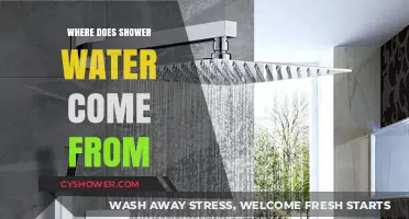 Where Does Shower Water Come From? Unveiling the Journey to Your Faucet