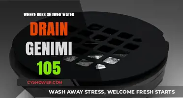 Where Does Shower Water Drain in Gemini 105 Models?