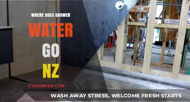 Where Does Shower Water Go in New Zealand? A Drainage Journey