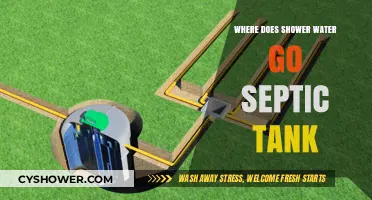Where Does Shower Water Go? Understanding Septic Tank Systems