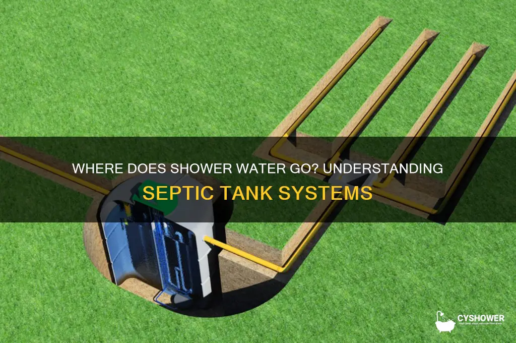 where does shower water go septic tank