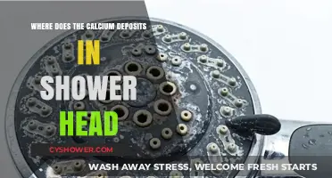 Why Calcium Deposits Build Up in Your Shower Head and How to Remove Them