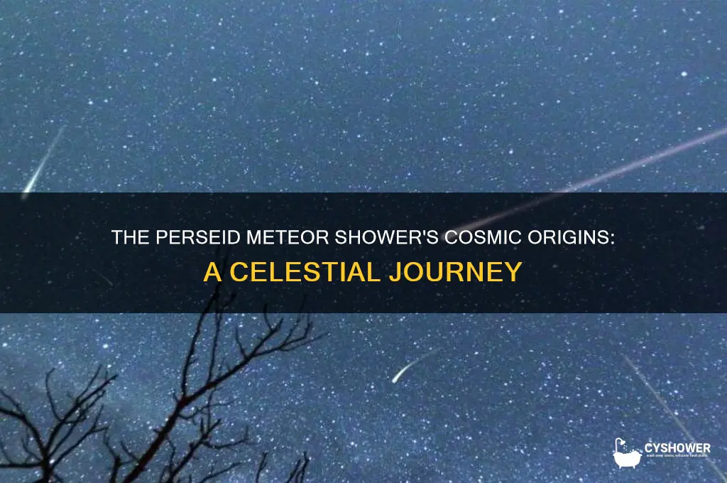 where does the perseid meteor shower come from
