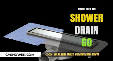 Where Does the Shower Drain Go? Uncovering Plumbing Secrets