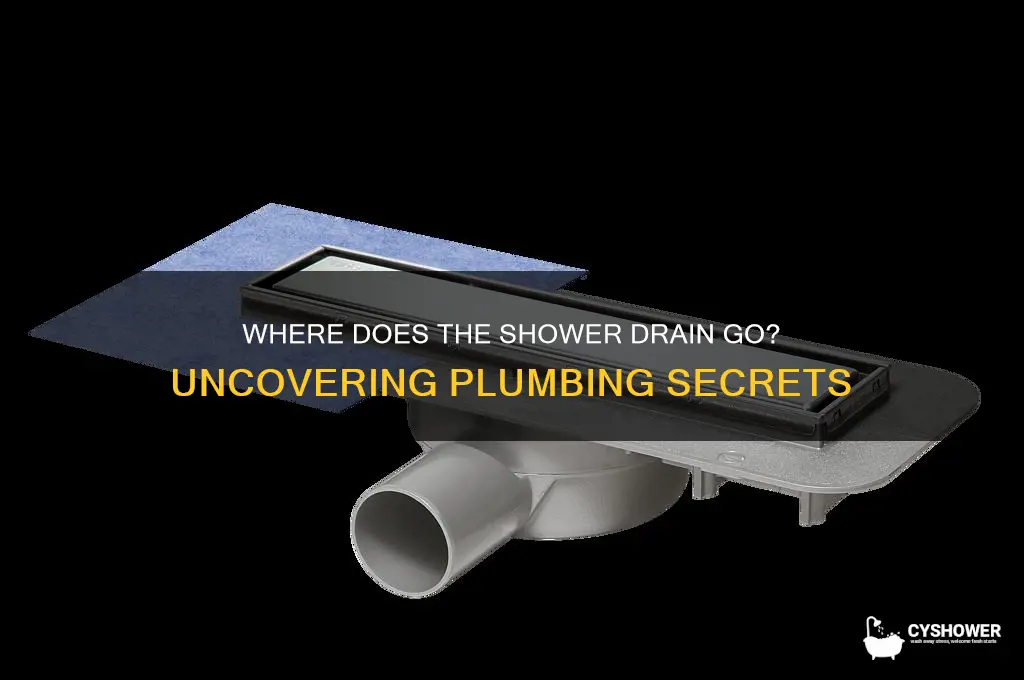 where does the shower drain go