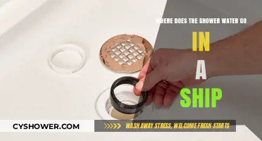 Ship Shower Drainage: Where Does the Water Go on Board?