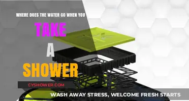 Shower Water Disappearance: Tracing the Journey After You Rinse Off