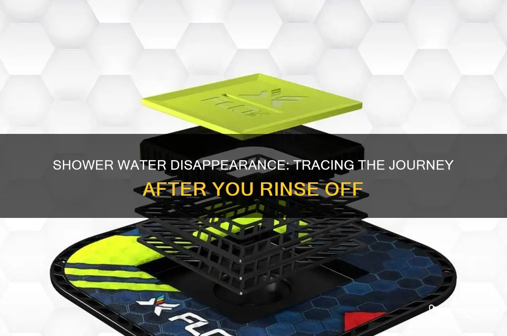 where does the water go when you take a shower