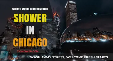 Best Spots in Chicago to Watch the Perseid Meteor Shower