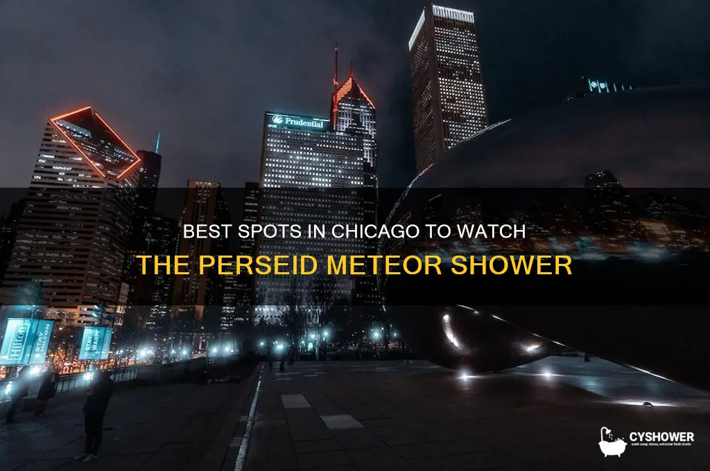 where i watch perseid meteor shower in chicago