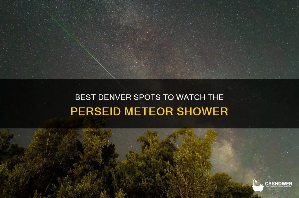 where in denver see perseid meteor shower