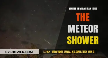 Best Miami Spots to Watch the Meteor Shower This Season