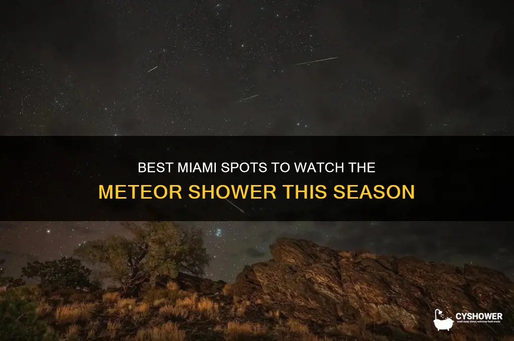 where in miami can i see the meteor shower