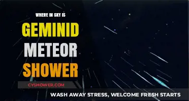 Spotting the Geminid Meteor Shower: Where to Look in the Night Sky