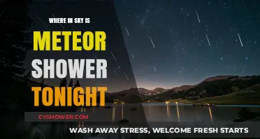 Spot Tonight's Meteor Shower: Sky Location Guide for Stargazers