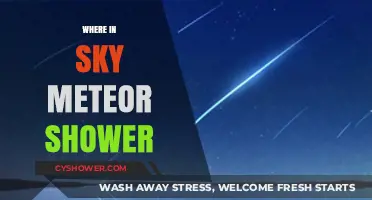 Where to Spot Meteor Showers in the Night Sky
