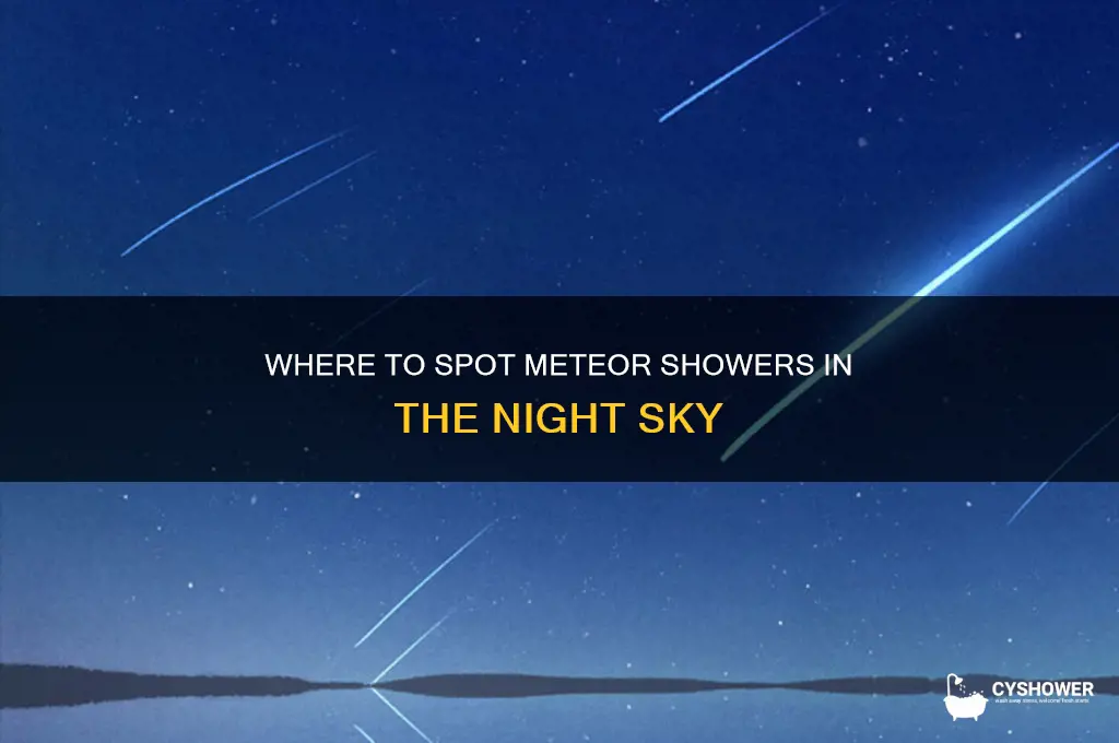 where in sky meteor shower