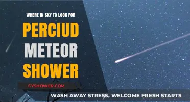 Spotting the Perseid Meteor Shower: Prime Sky Locations to Watch