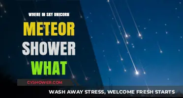 Unicorn Meteor Shower: Where and When to Spot It in the Sky