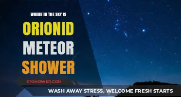 Orionid Meteor Shower: Spotting Its Radiant Point in the Night Sky