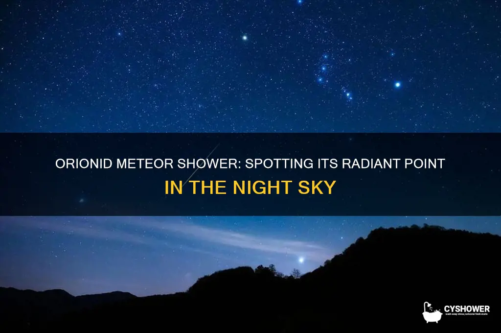where in the sky is orionid meteor shower