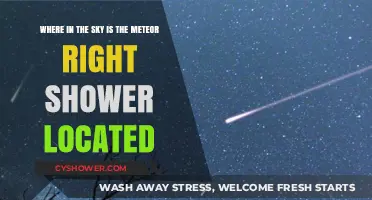Spotting the Meteor Shower: Sky Location Guide for Stargazers