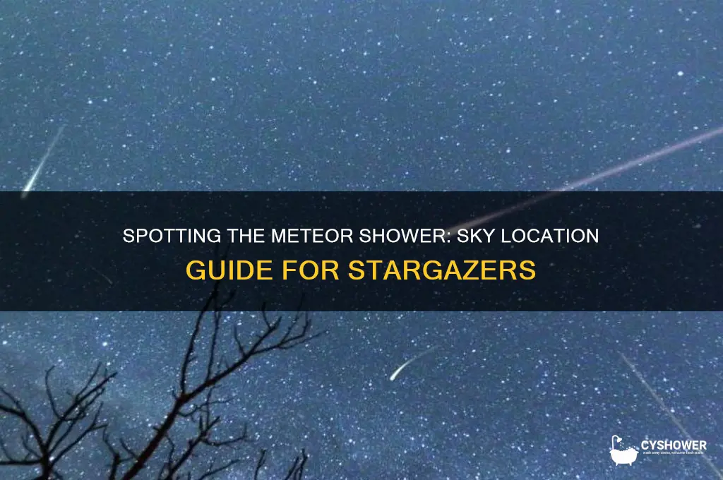 where in the sky is the meteor right shower located
