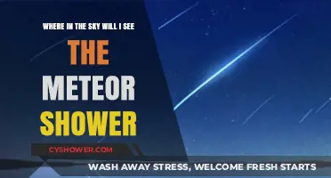 Meteor Shower Guide: Best Sky Locations for Stunning Celestial Displays