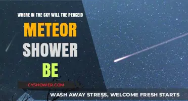 Spotting the Perseids: Where to Look in the Night Sky