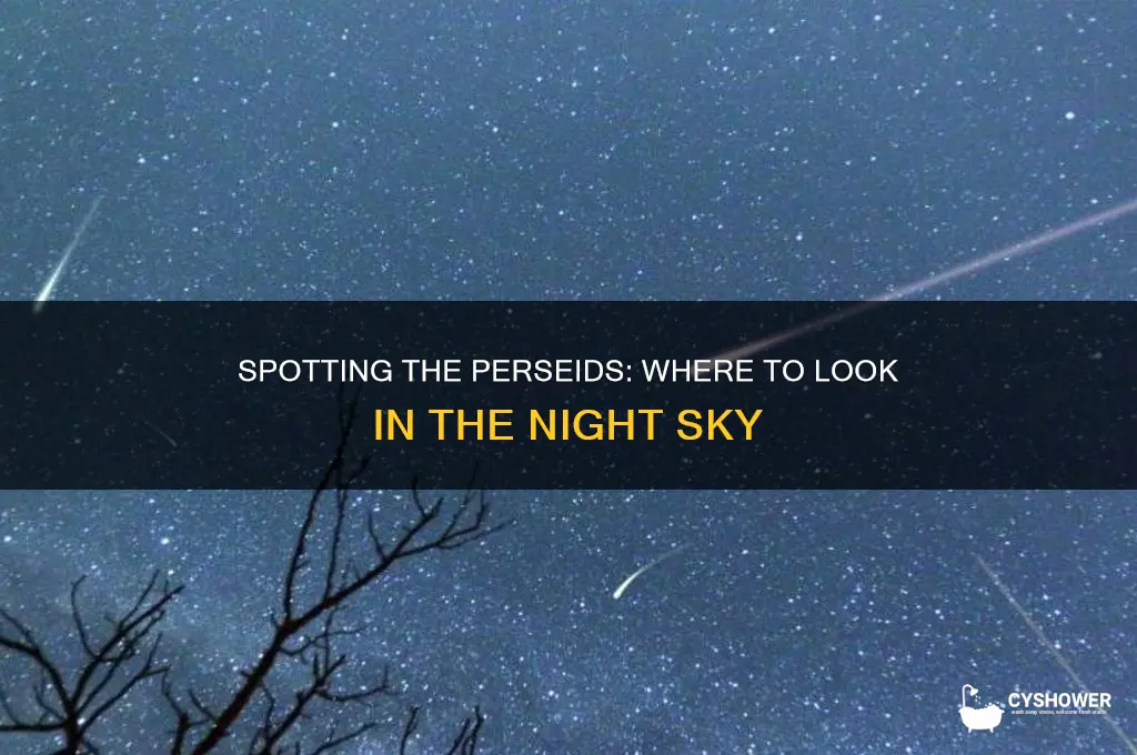 where in the sky will the perseid meteor shower be