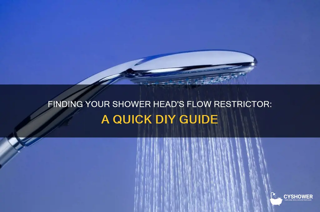 where is flow restrictor in shower head