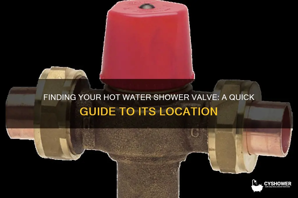 where is hot water shower valve