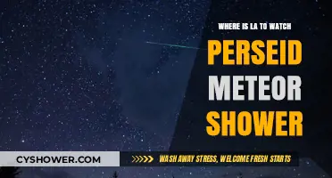 Best LA Spots to Watch the Perseid Meteor Shower
