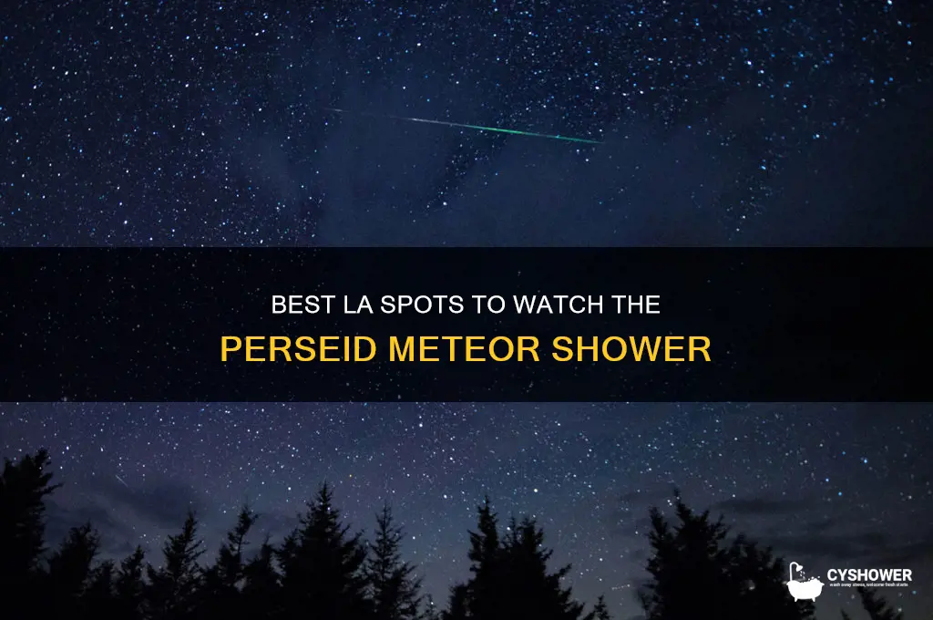 where is la to watch perseid meteor shower