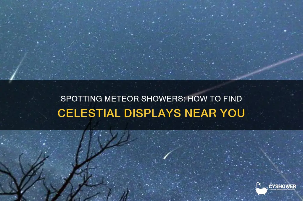 where is meteor shower above me
