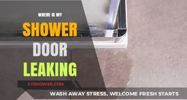 Fixing a Leaky Shower Door: Common Causes and Quick Solutions