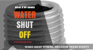Locate Your Shower Water Shut Off Valve: Quick Guide for Homeowners