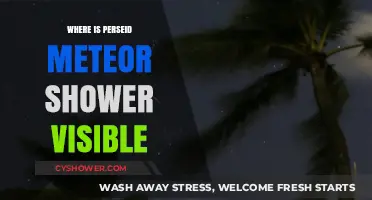 Where to Watch the Perseid Meteor Shower: Global Visibility Guide