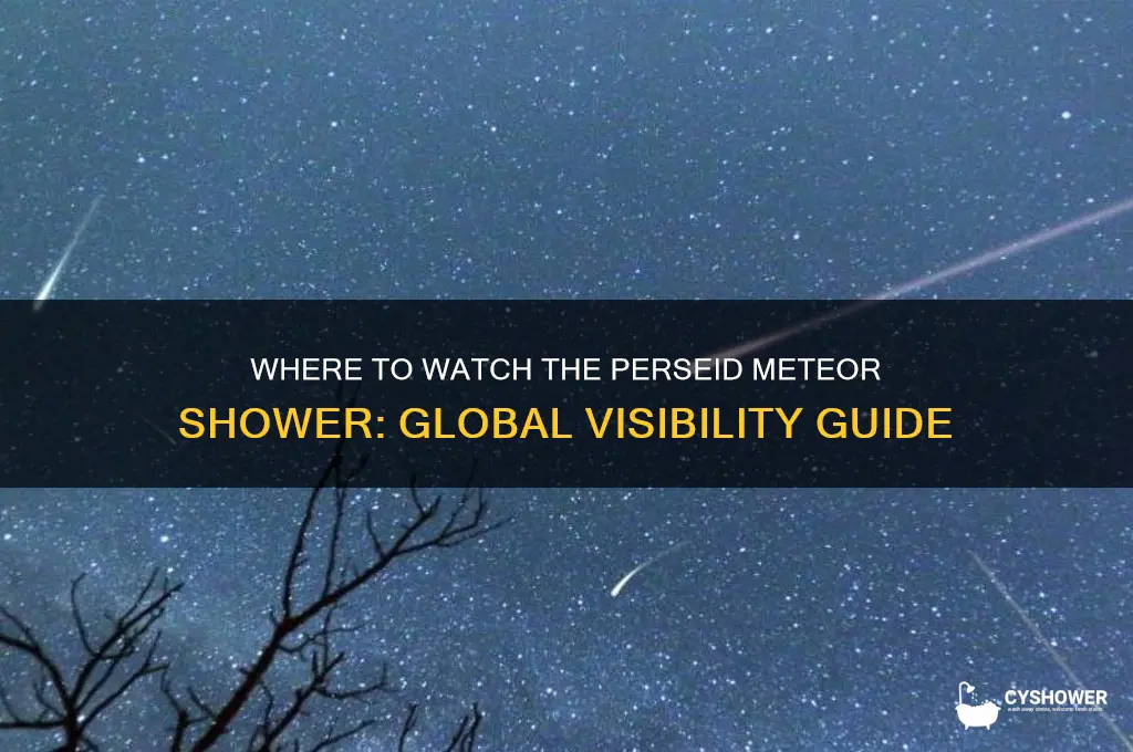 where is perseid meteor shower visible