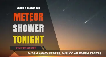 Where to Watch Tonight's Radiant Meteor Shower: A Stargazer's Guide