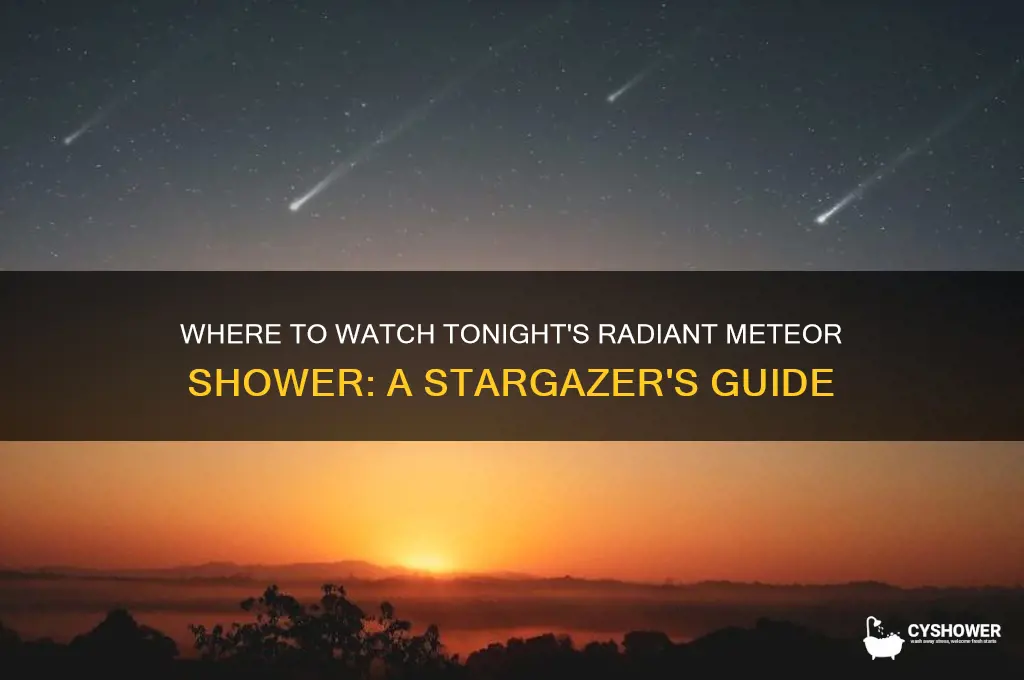 where is radiant for meteor shower tonight