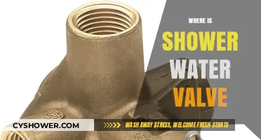 Finding Your Shower Water Valve: A Quick and Easy Guide