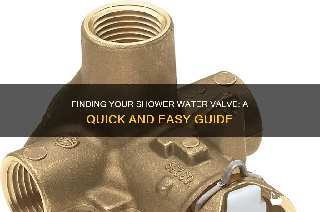 where is shower water valve