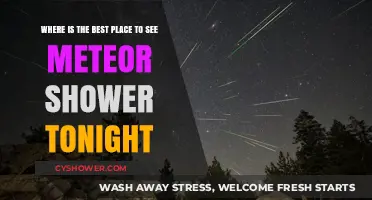 Best Meteor Shower Viewing Spots Tonight: Where to Look Up
